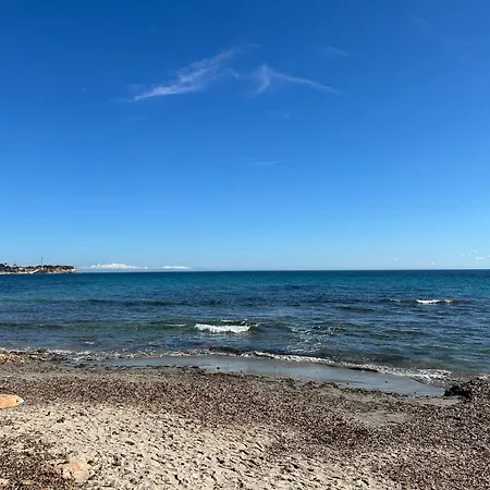 Sunny Paradise/el Paraiso Soleado *